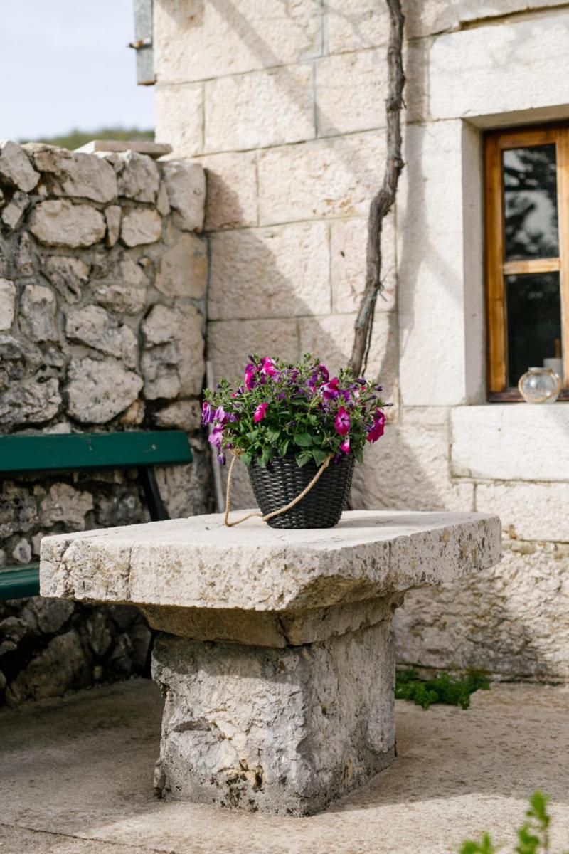 Villa Jozini Dvori Krstatice 外观 照片